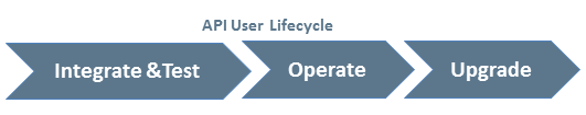 API user lifecycle